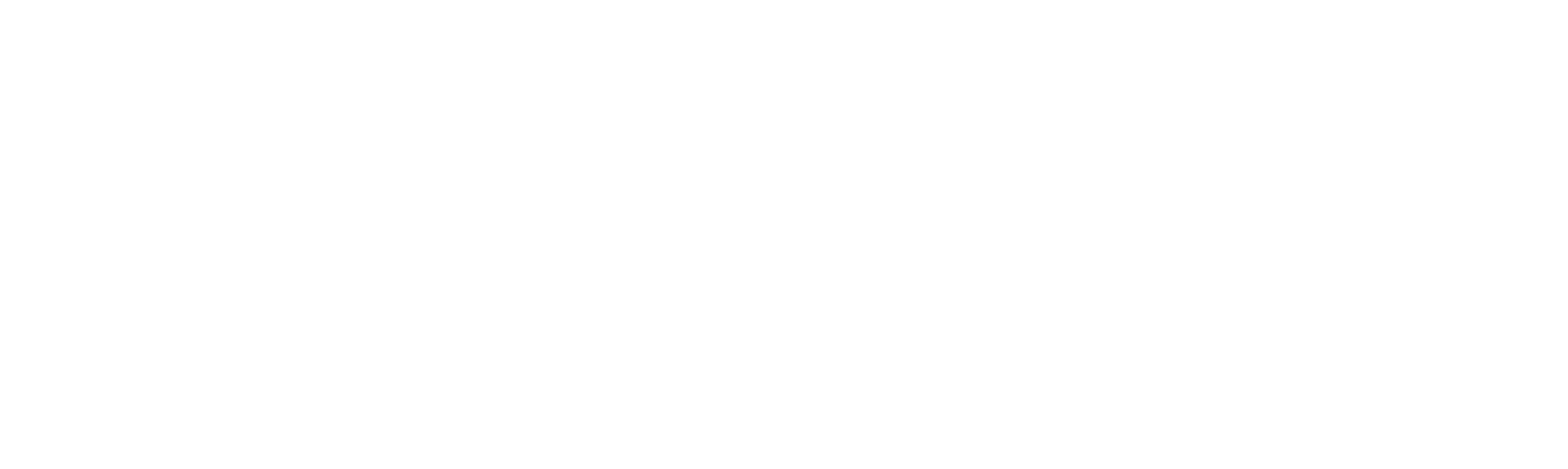 CARBON JEANS - white logo